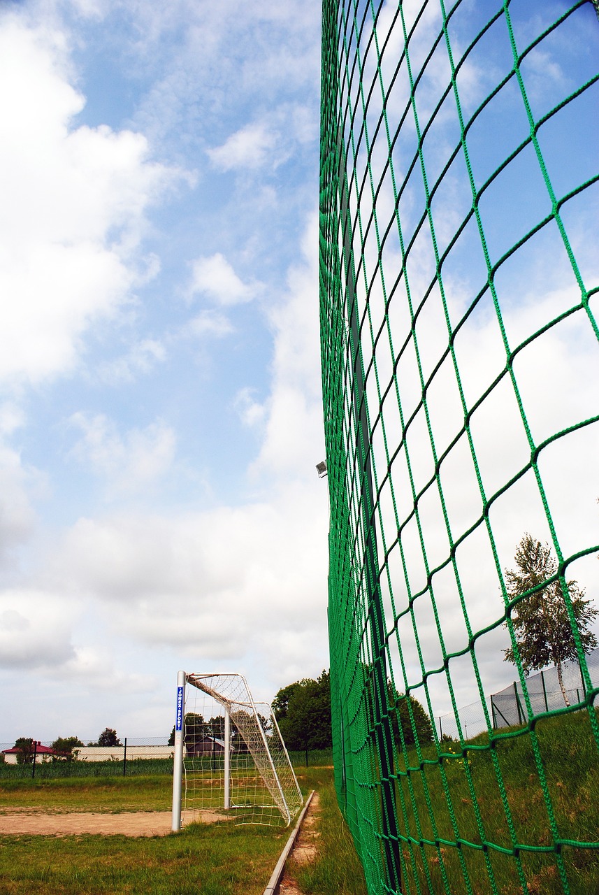 档的结果 档的结果