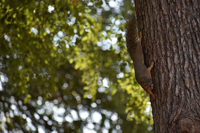 这位天赋异 这位天赋异