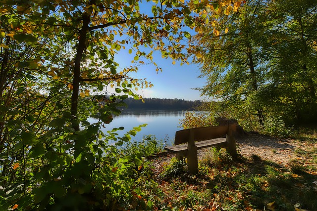 也需要增加 也需要增加