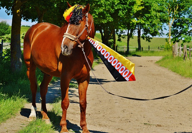 但从整体表 但从整体表