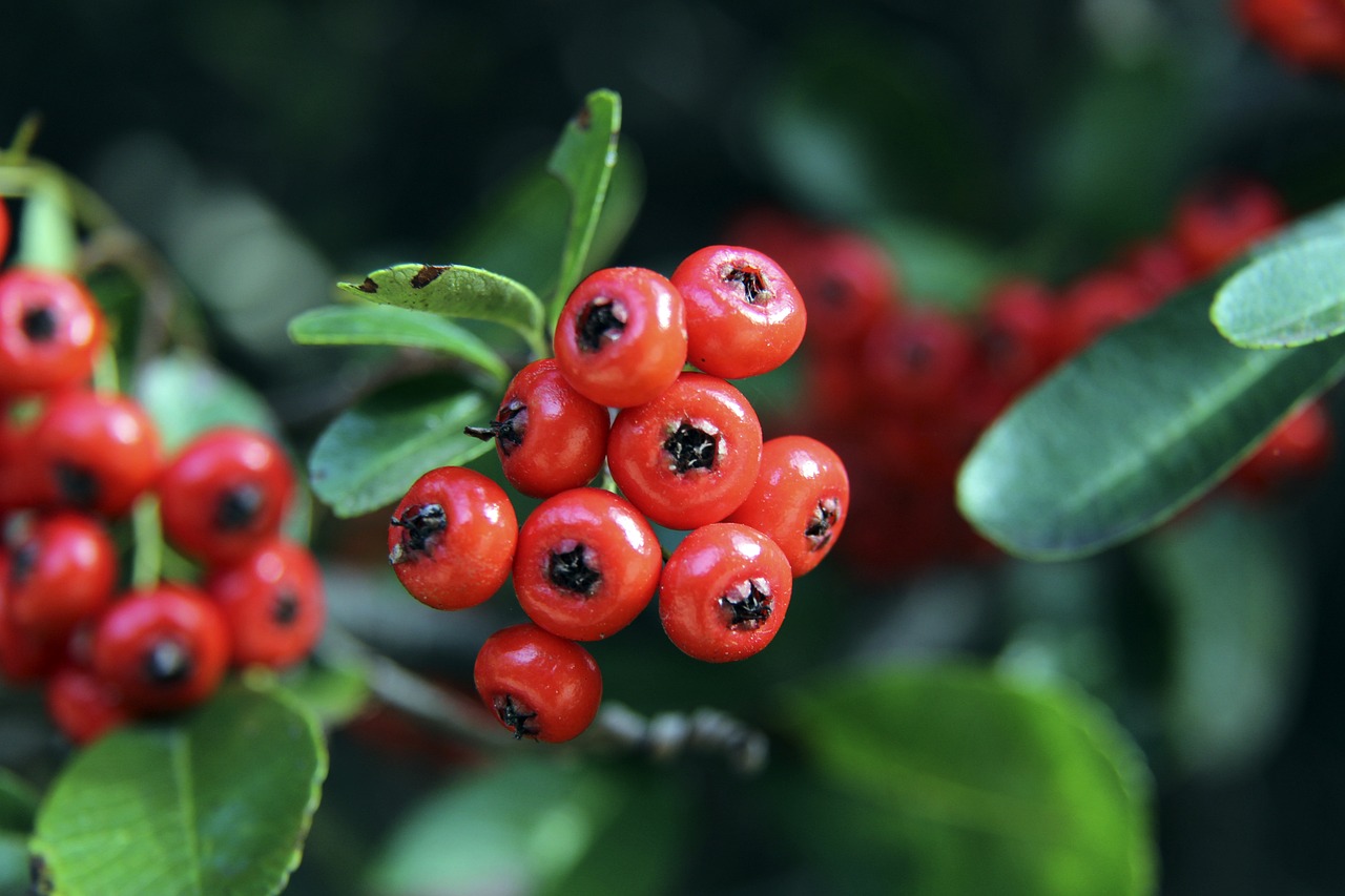 回应政治选 回应政治选