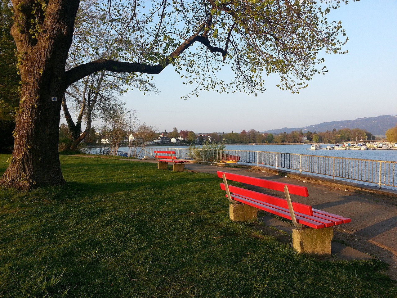 的作用早已 的作用早已