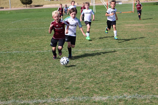 體育禁賽的 體育禁賽的