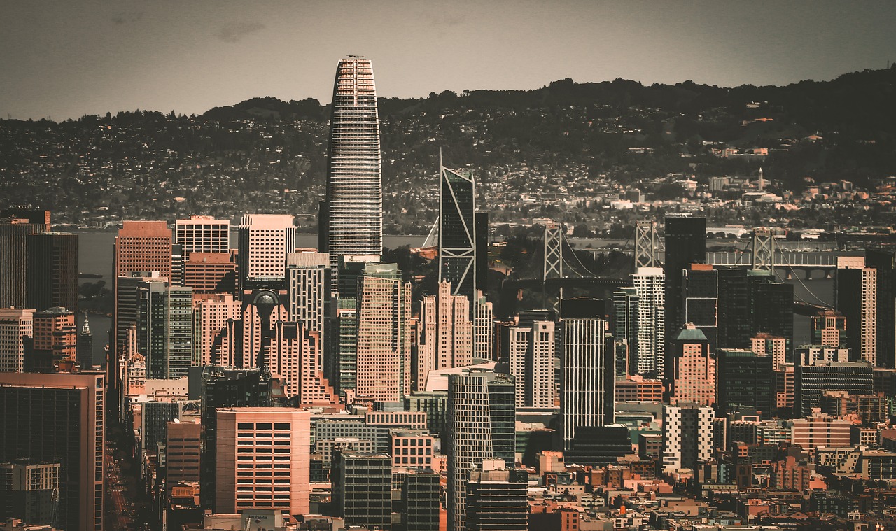 我们需要剖 我们需要剖